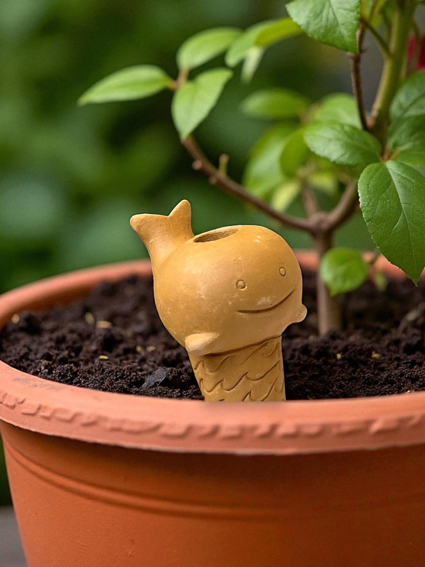 a whale-shaped watering spike pokes out of the soil of a potted plant